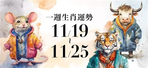 一週運勢虎|十二生肖一週運勢11／20～11／26！屬虎工作失誤率大增，「這。